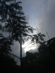 Kalaheo, Kauai, HI 11.2016