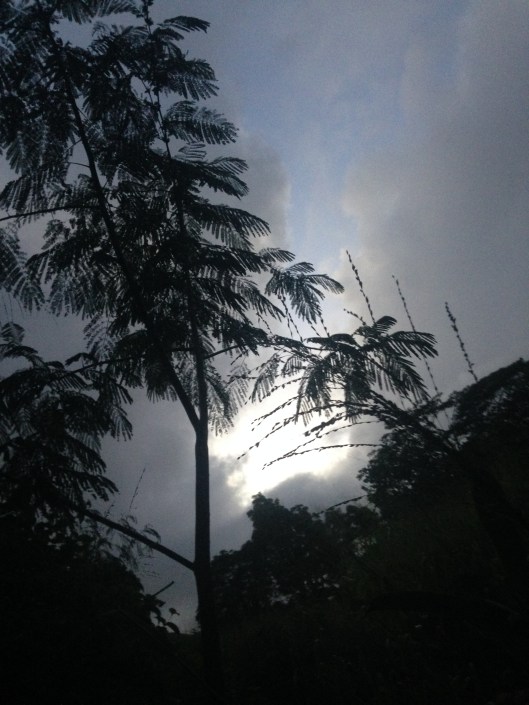 Kalaheo, Kauai, HI 11.2016