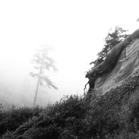 Patrick's Point HSU 8.2014