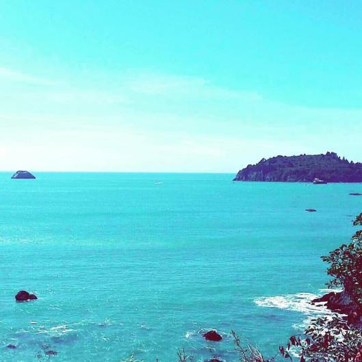 13173381_10207531639502147_2149937576755884256_o