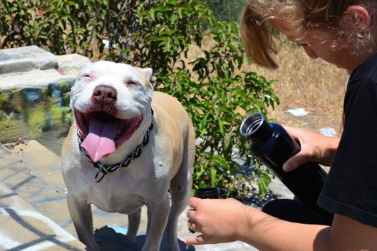 Jewels & Bowz 3 - 05.30.2016