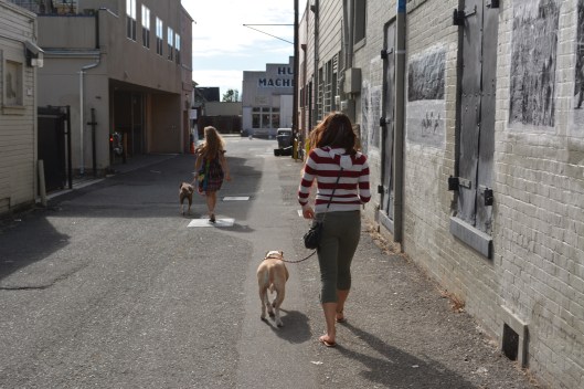 08.20.2016 - Arcata CA July 2016 025