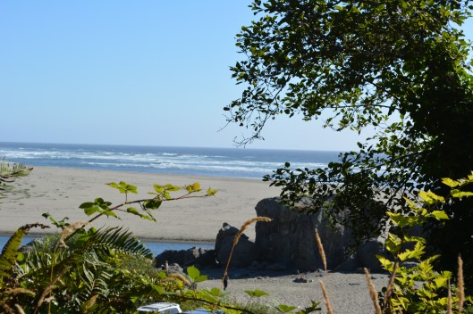 AMM 08.04.2016Arcata CA July 2016 108