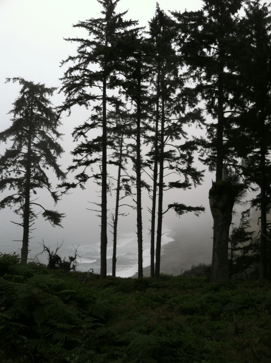 Patrick's Point Ebay 06.01.2016