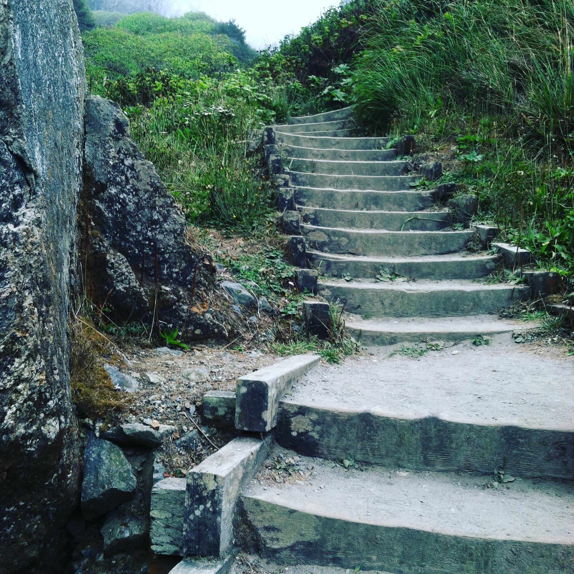 BLOG 05.17.2018 IMG_6549